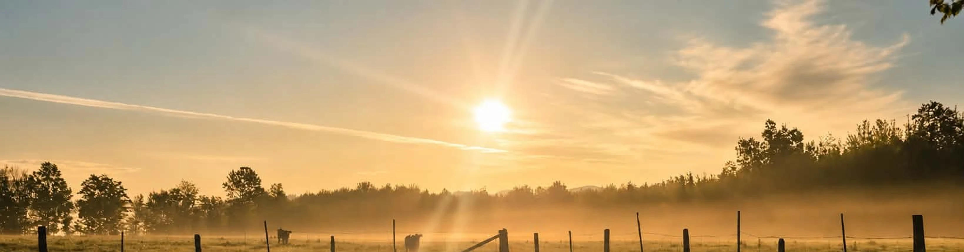 Lever de soleil doré sur une prairie — Eric Dame